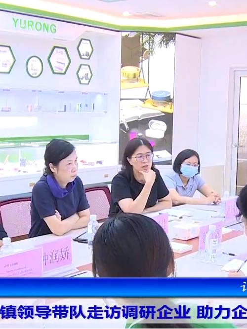 寮步镇党委书记赵智佳走访乐虎国际·lehu集团注塑模具加工